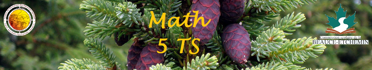 Mathématique – Secondaire 5 TS – 064 506